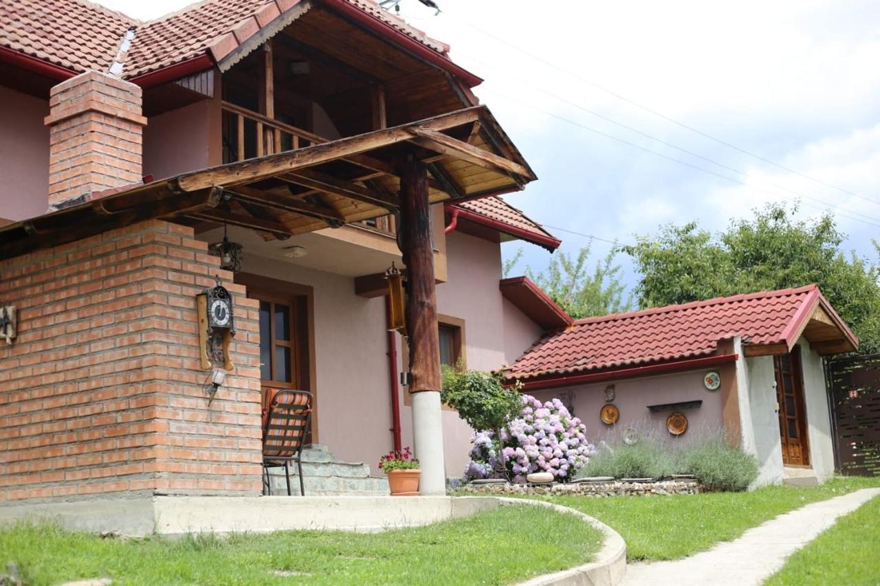 Casa Darius Villa Novaci-Straini Exterior photo